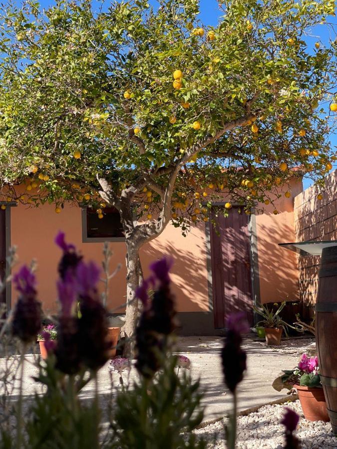 B&B Su Fassoi Càbras Exterior foto